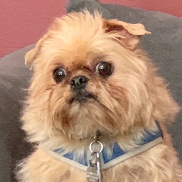 Meet your Posher, Allison - Picture 1 of 1